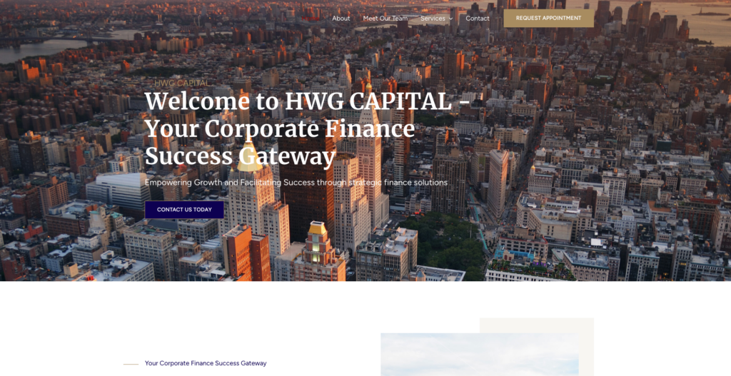 hwgcapital logo 作品集